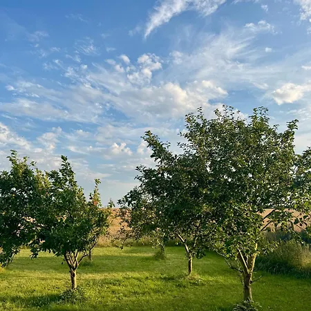 Langagergaard B&B - Thy Тистед