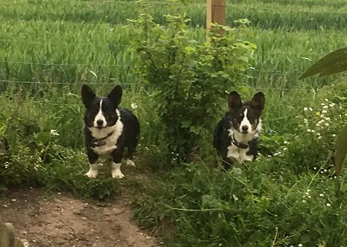 Langagergaard 3* Thisted