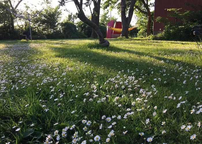 Langagergaard Thisted